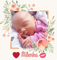 milenka_t1.png